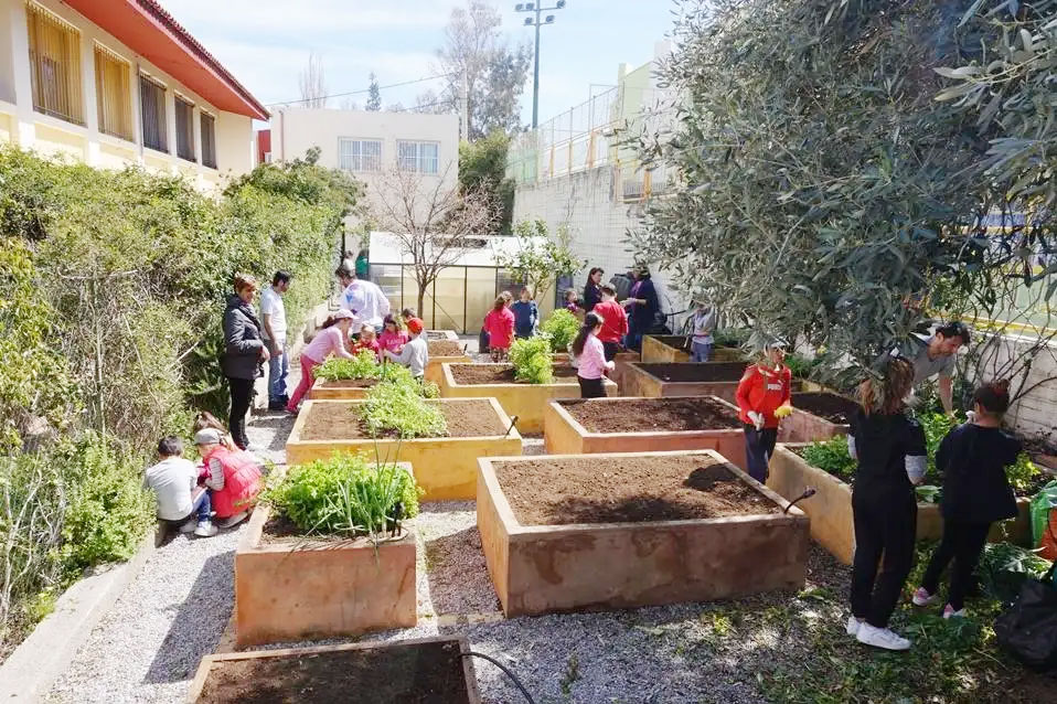 From School Gardens to Community Tables